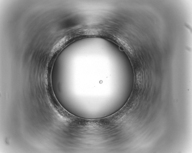 X0000093750682200710301125