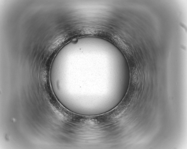 X0000093750683200710301125