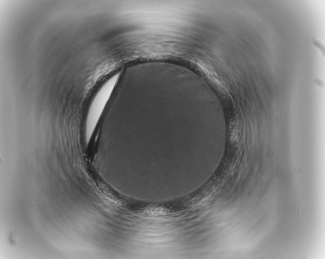 X0000093750685200710301125