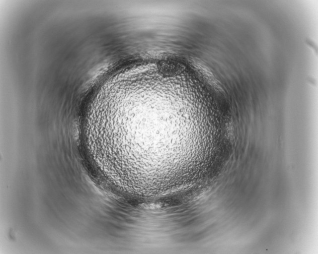 X0000093750687200710301125