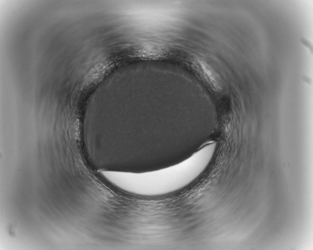 X0000093750689200710301125