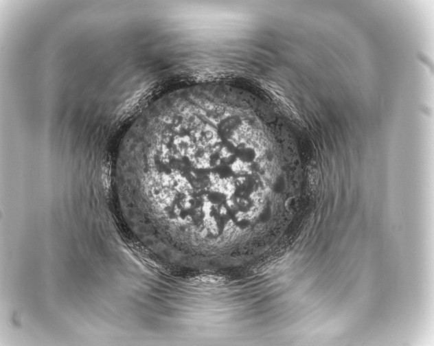 X0000093750691200710301125