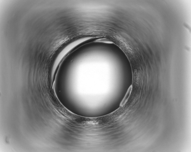 X0000093750692200710301125