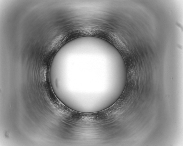 X0000093750694200710301125