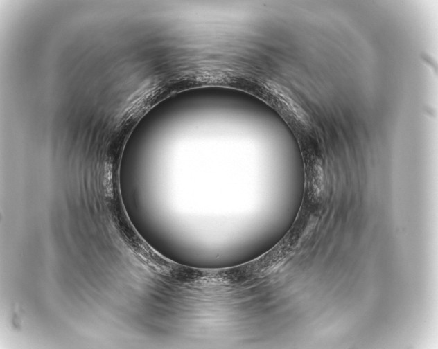 X0000093750696200710301125