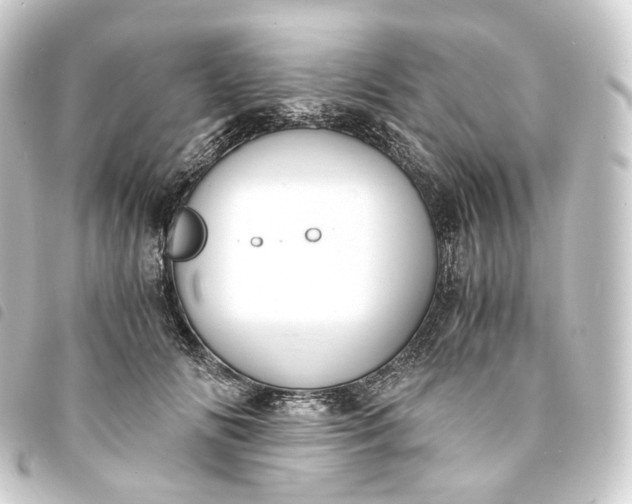 X0000093750702200710301125