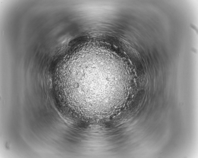 X0000093750703200710301125