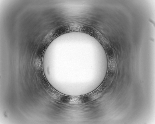 X0000093750705200710301125
