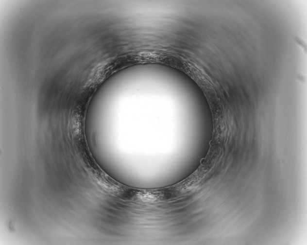 X0000093750706200710301125