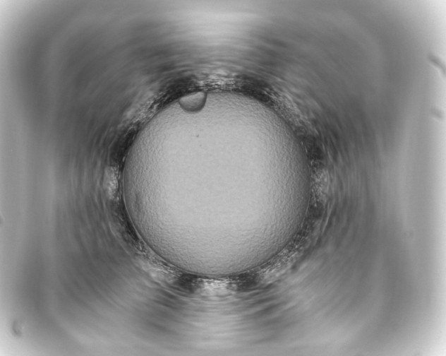 X0000093750709200710301125