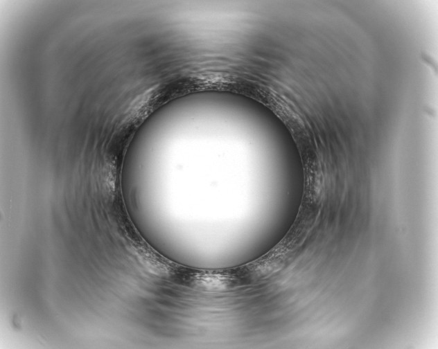 X0000093750710200710301125