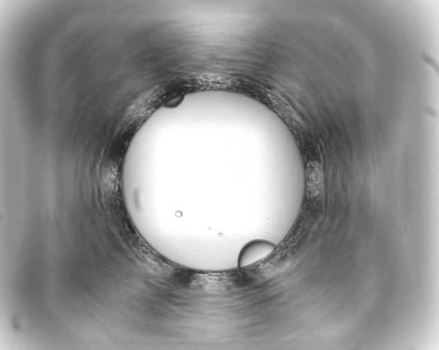 X0000093750713200710301125