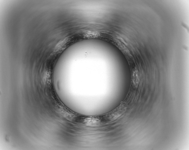 X0000093750714200710301125