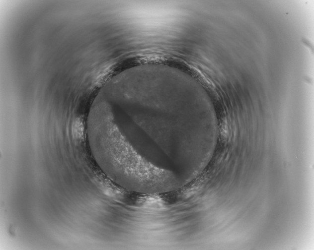 X0000093750715200710301125