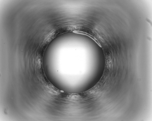 X0000093750716200710301125