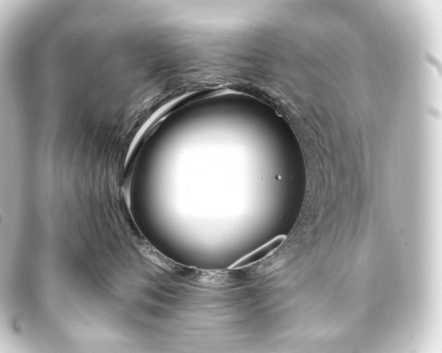 X0000093750720200710301124