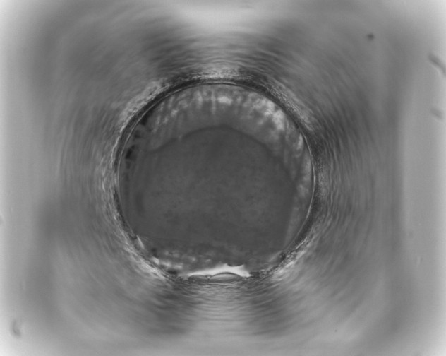 X0000093750721200710301124