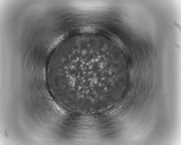 X0000093750729200710301124