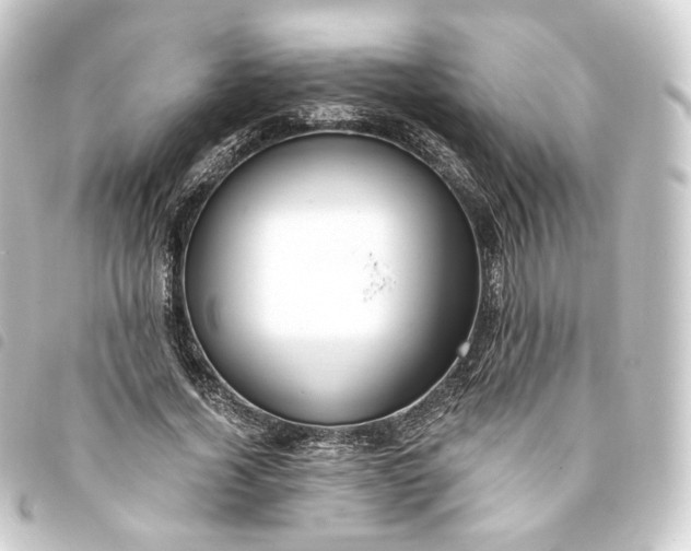 X0000093750732200710301124