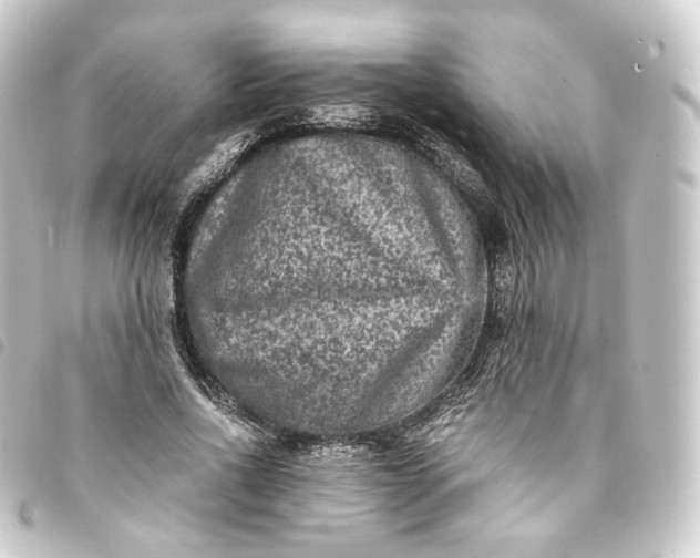 X0000093750734200710301124
