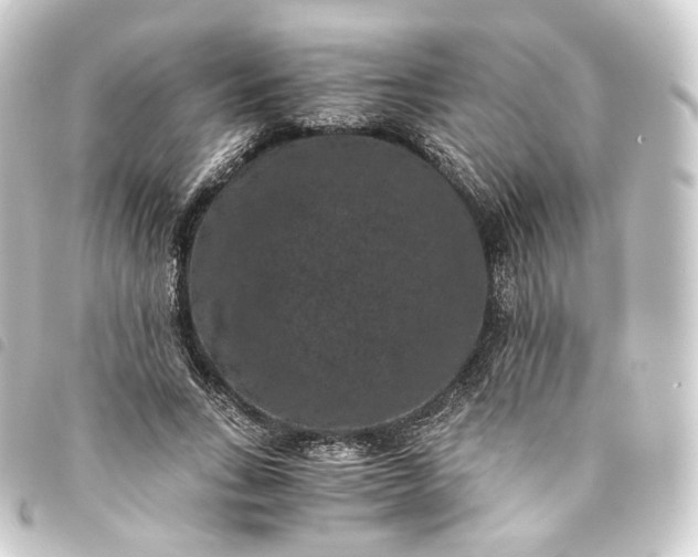 X0000093750735200710301124