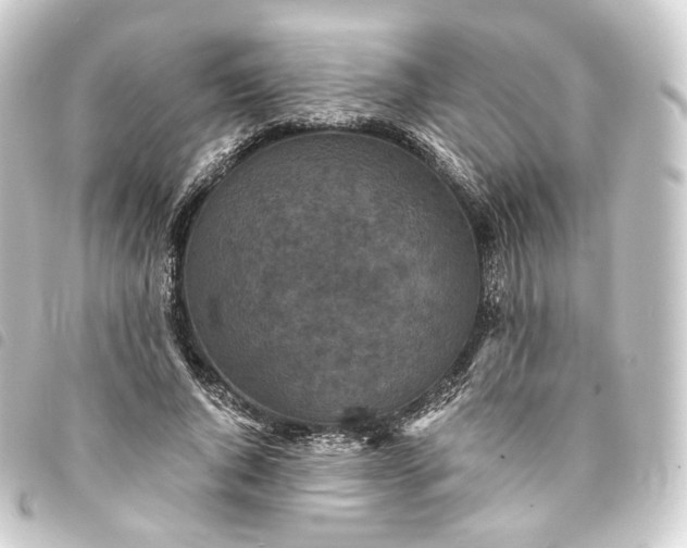 X0000093750736200710301124