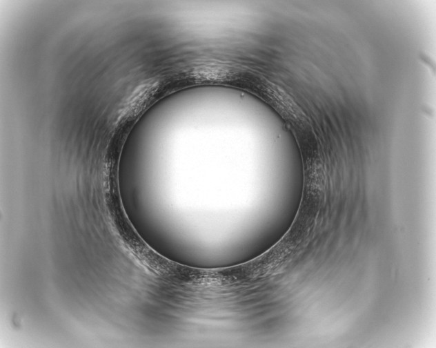 X0000093750738200710301124