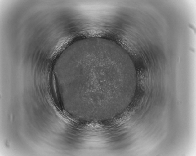 X0000093750742200710301124