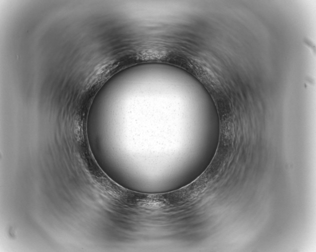 X0000093750743200710301124