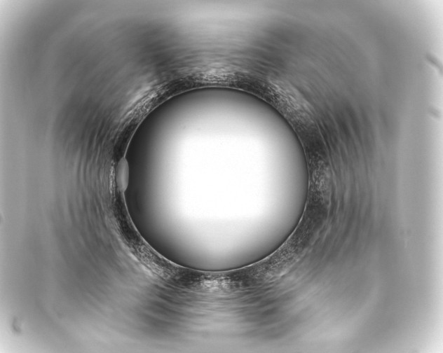 X0000093750744200710301124