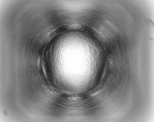 X0000093750745200710301124