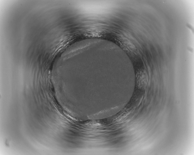 X0000093750747200710301124