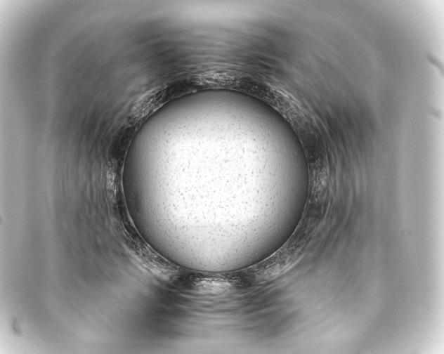 X0000093750749200710301124