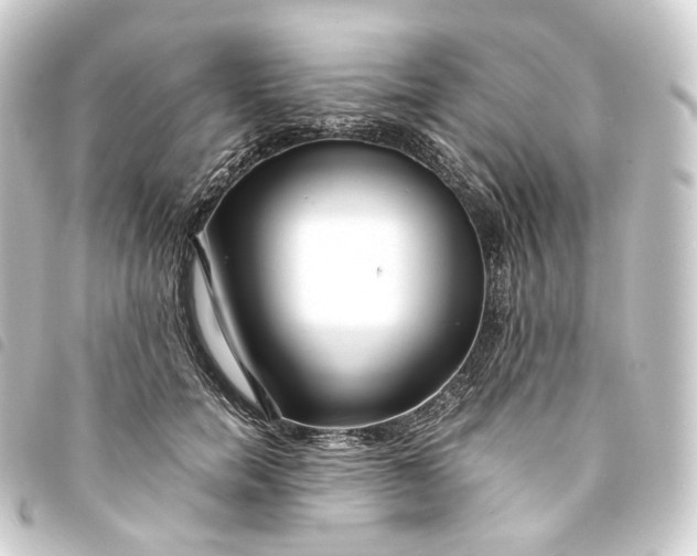 X0000093750750200710301124