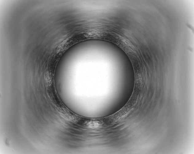 X0000093750751200710301124