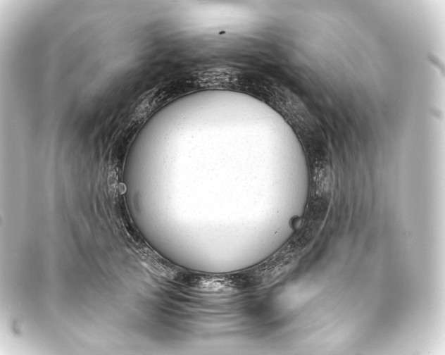 X0000093750753200710301124