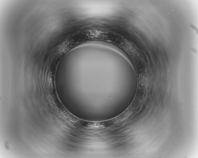 X0000093750754200710301124
