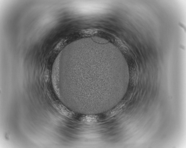 X0000093750758200710301124