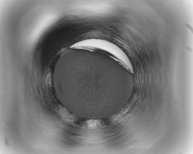 X0000093750762200710301124