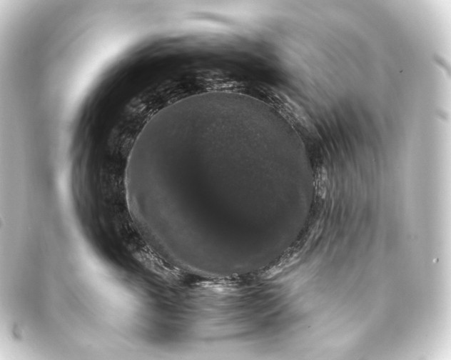 X0000093750763200710301124