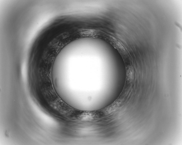 X0000093750764200710301124