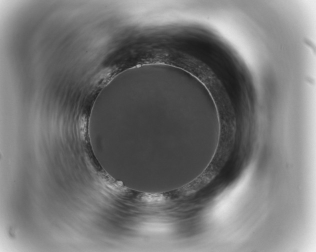 X0000093750767200710301124