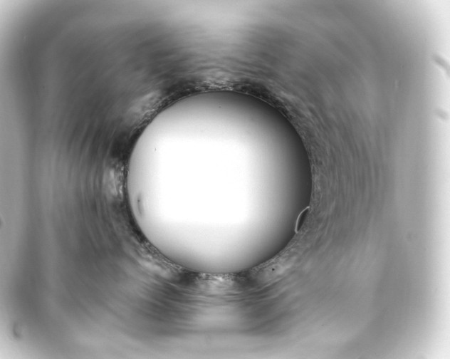 X0000093750768200710301124