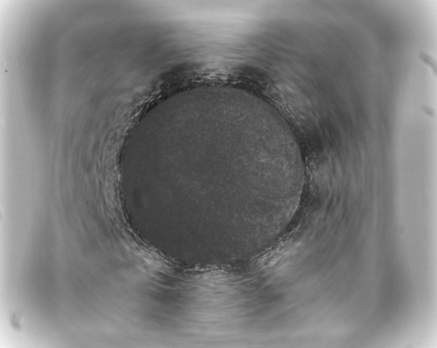 X0000093750769200710301124