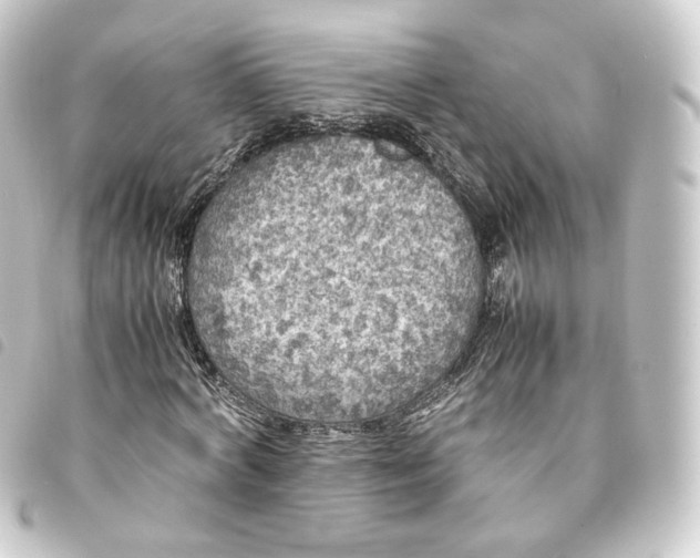 X0000093750772200710301124
