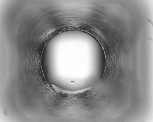 X0000093750773200710301124