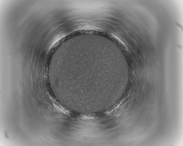 X0000093750775200710301124