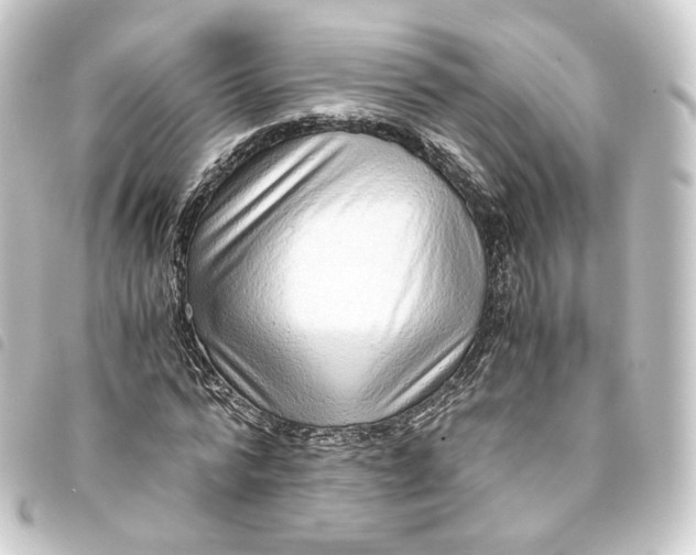 X0000093750776200710301124