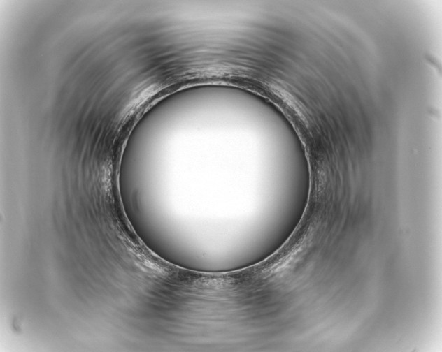 X0000093750778200710301124