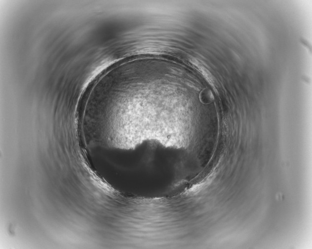 X0000093750779200710301124